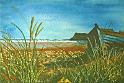 Northumbrian Coast